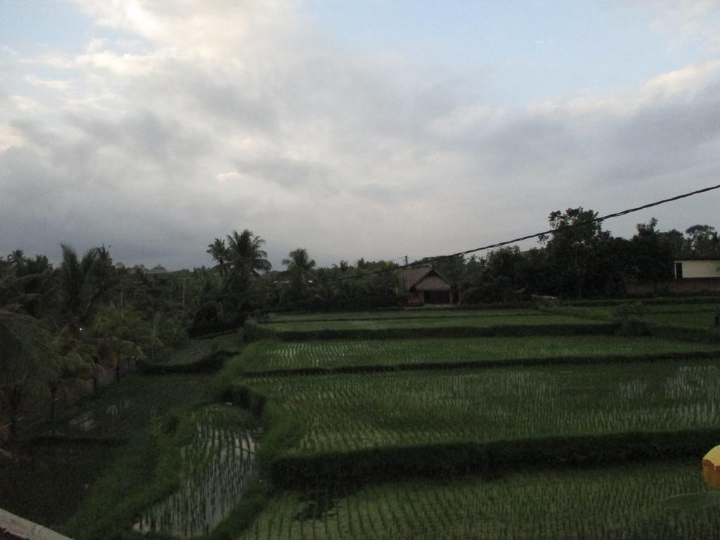 Hotel Ancut Sari Ubud Exterior foto