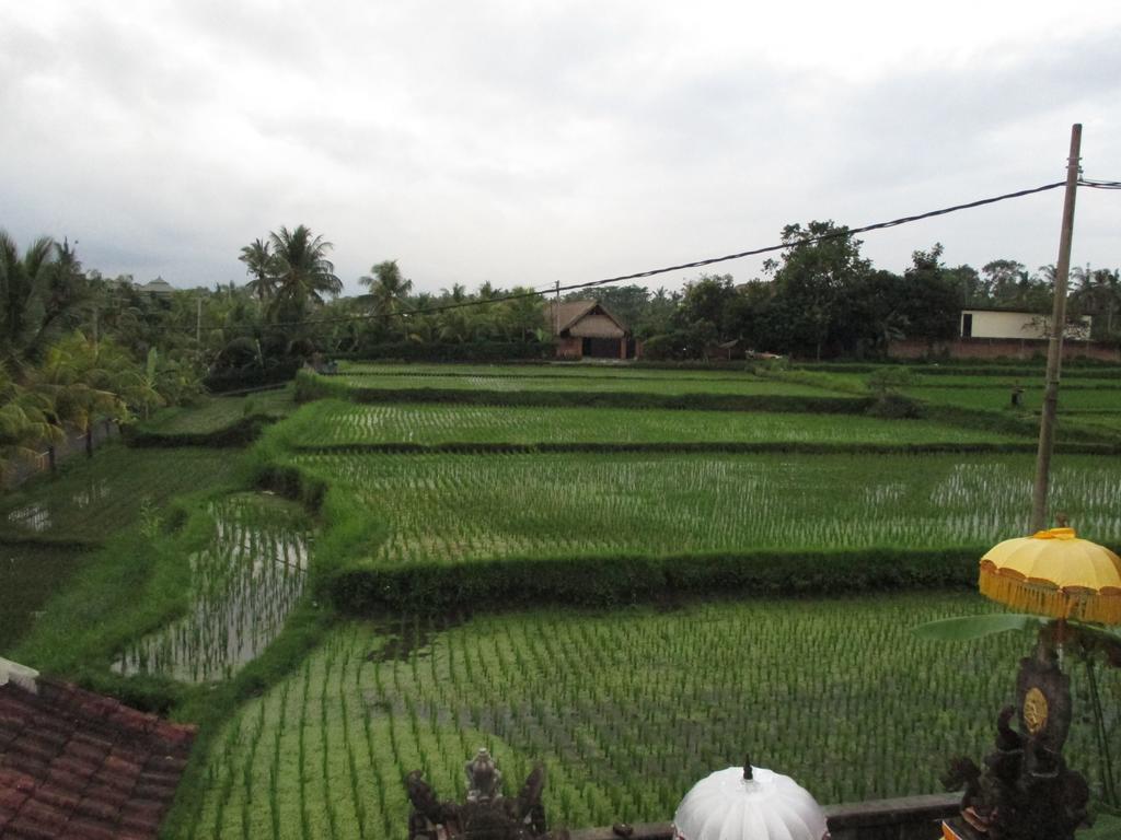 Hotel Ancut Sari Ubud Exterior foto