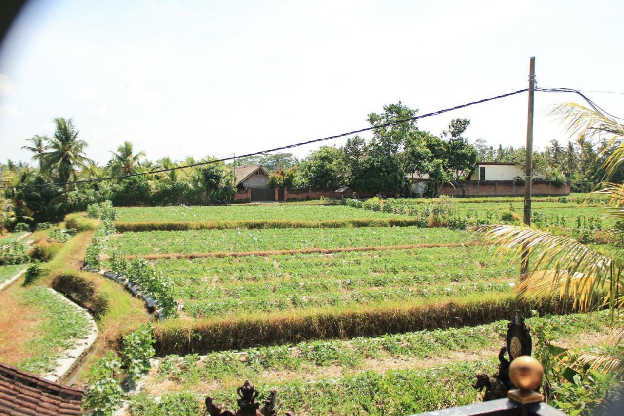 Hotel Ancut Sari Ubud Exterior foto